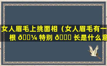 女人眉毛上挑面相（女人眉毛有一根 🌼 特别 🐅 长是什么意思）